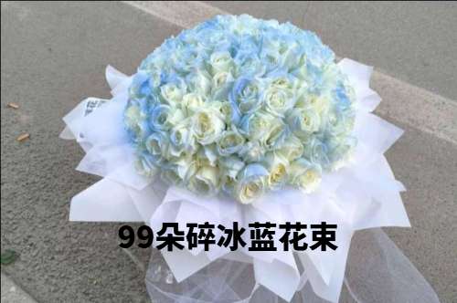 绯ػ